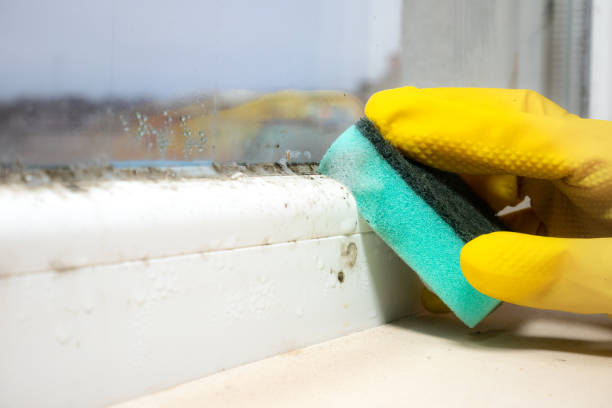 Best Office Mold Removal Services  in Ranlo, NC