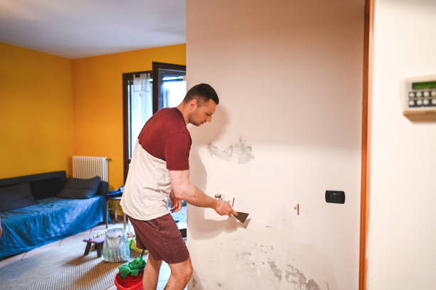Best Mold Damage Repair  in Ranlo, NC